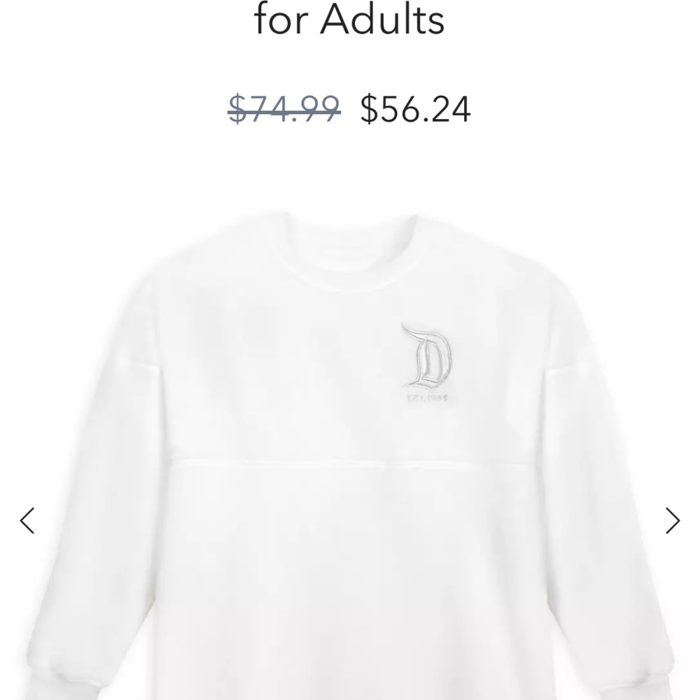 Fluffy Disneyland spirit jersey with silver lettering on t